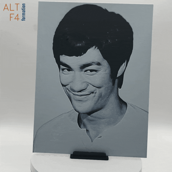 Affiche/poster Bruce Lee imprimée en 3d noir et blanc