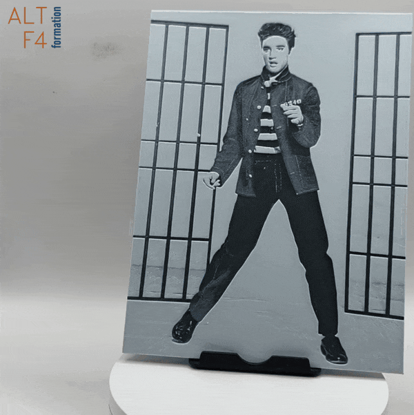 Affiche/poster Elvis Prestley imprimée en 3d noir et blanc