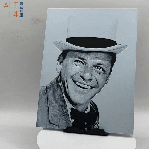 Affiche/poster Frank Sinatra imprimée en 3d noir et blanc