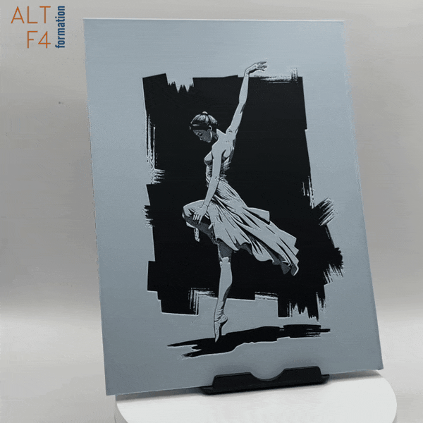 Affiche/poster La danseuse étoile imprimée en 3d
