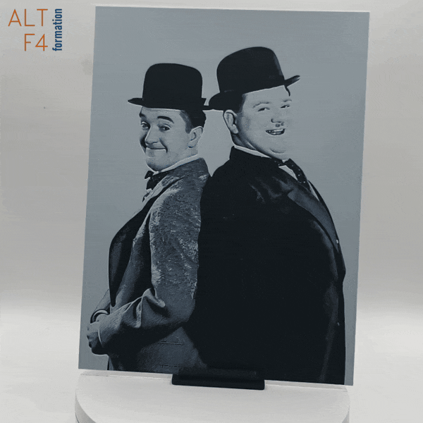 Affiche/poster Laurel et Hardy imprimée en 3d noir et blanc