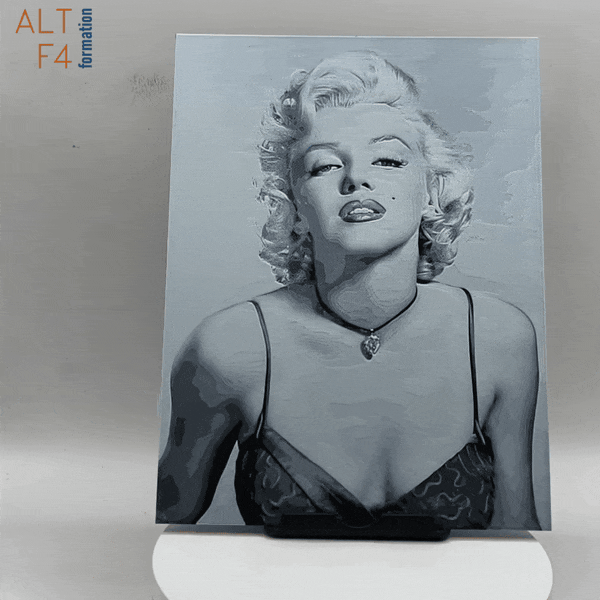 Affiche/poster Marilyn Monroe imprimée en 3d noir et blanc