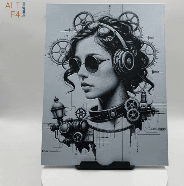 Affiche/poster de Lady steampunk imprimée en 3d style steampunk