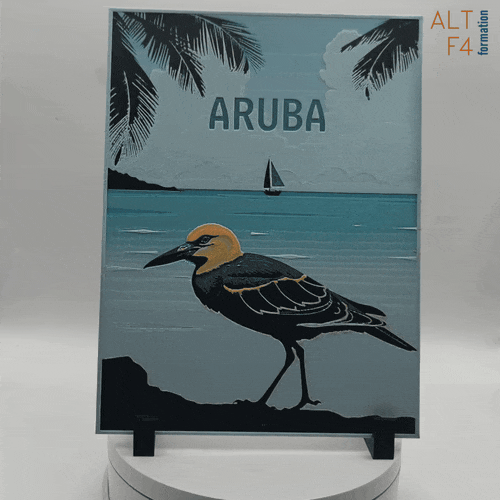 Affiche/poster de voyage du Aruba imprimée en 3d 